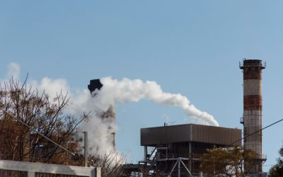 Gases renovables: el momento de invertir es ahora
