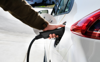 Freno global a la electrificación de vehículos y su percepción